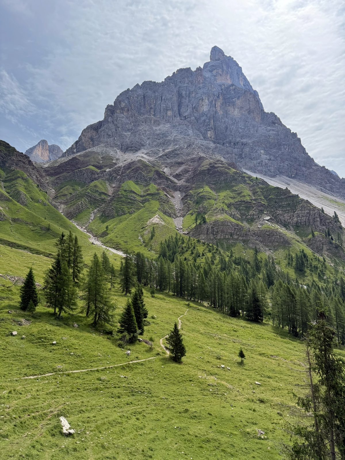 Grün bis hierher