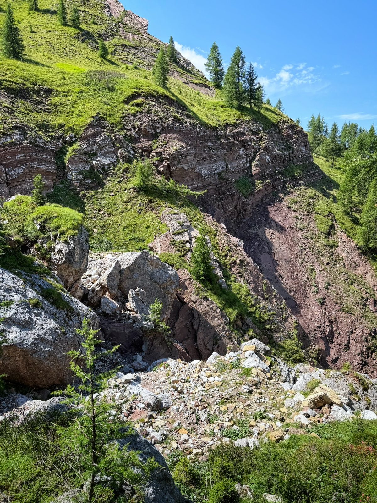 Murmeltierparadies