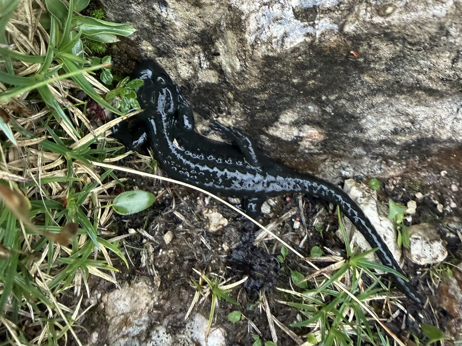 Der erste in den Dolomiten