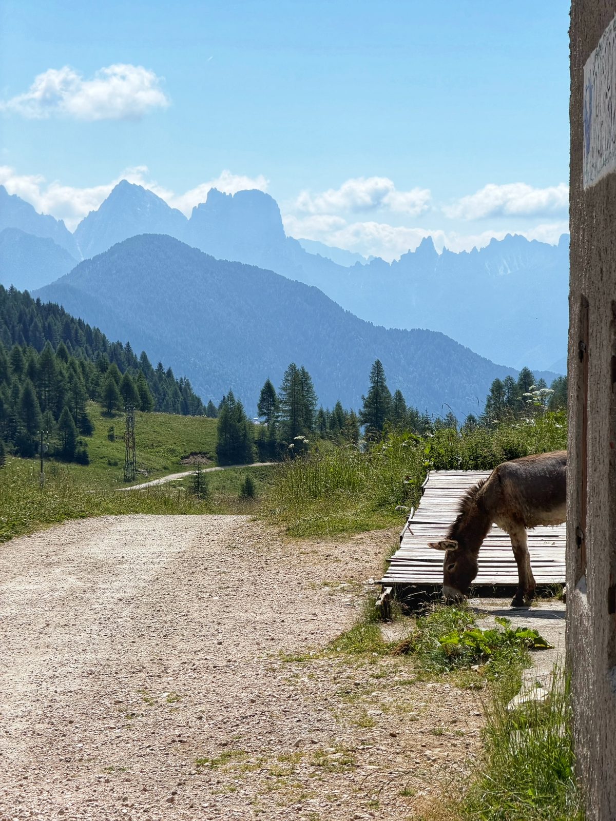 Der Türsteher