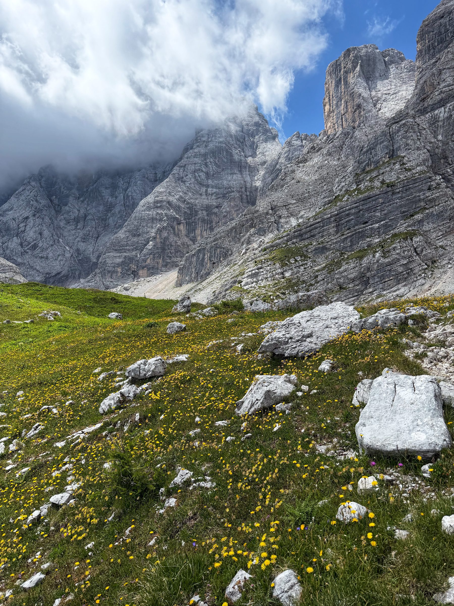 Die letzte Wiese