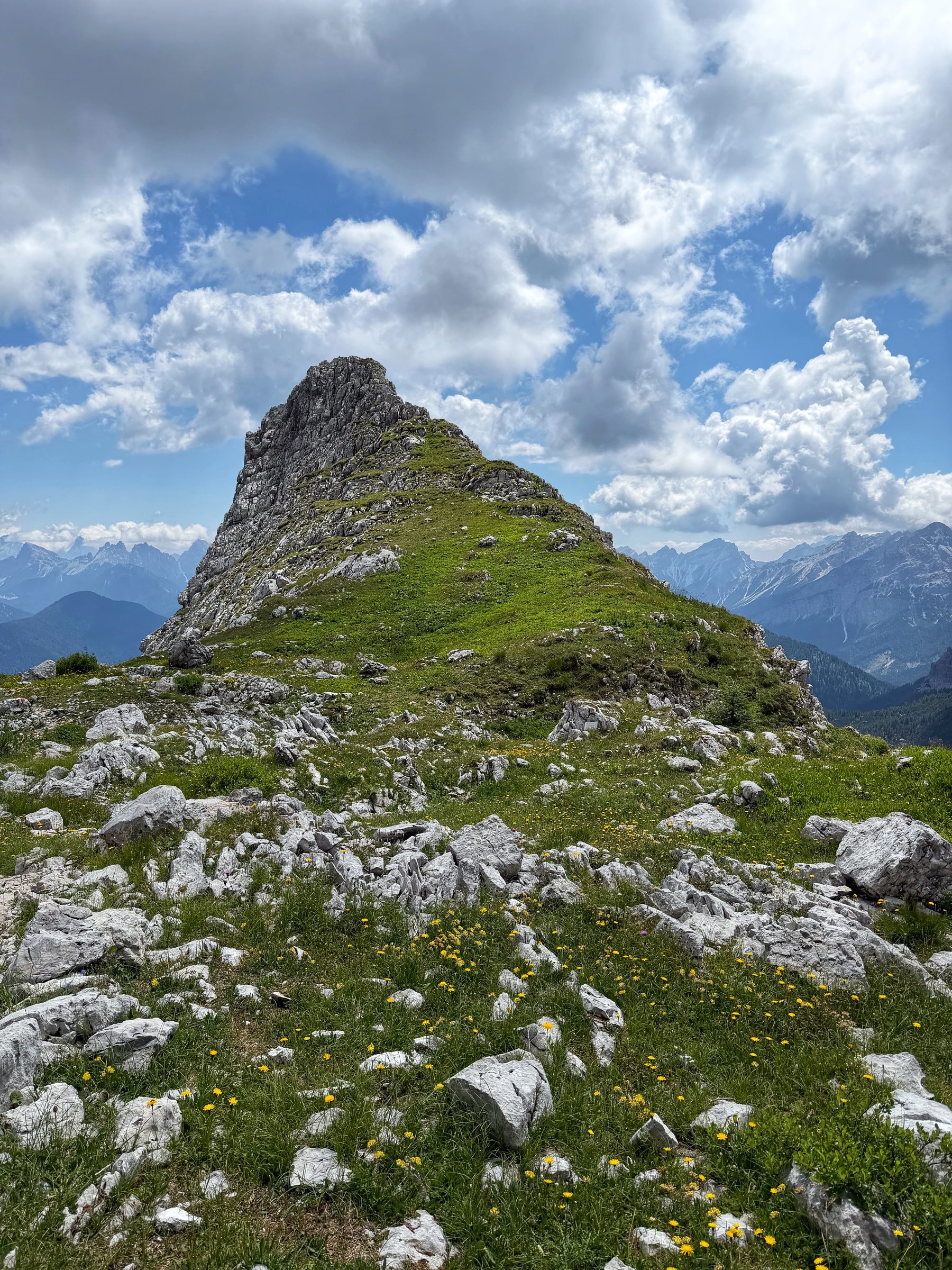 Der Grasbuckel