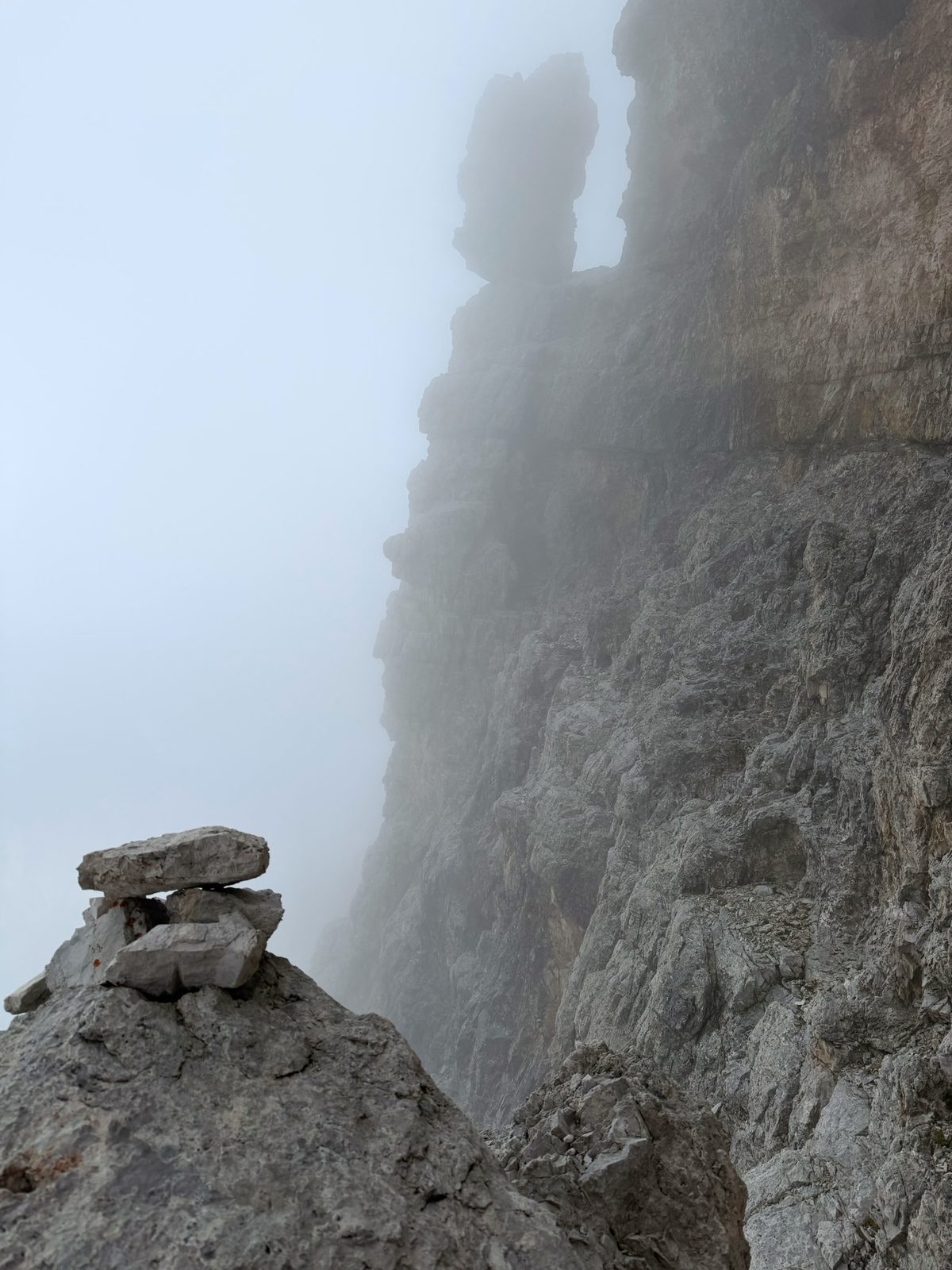 Der Zahn im Nebel