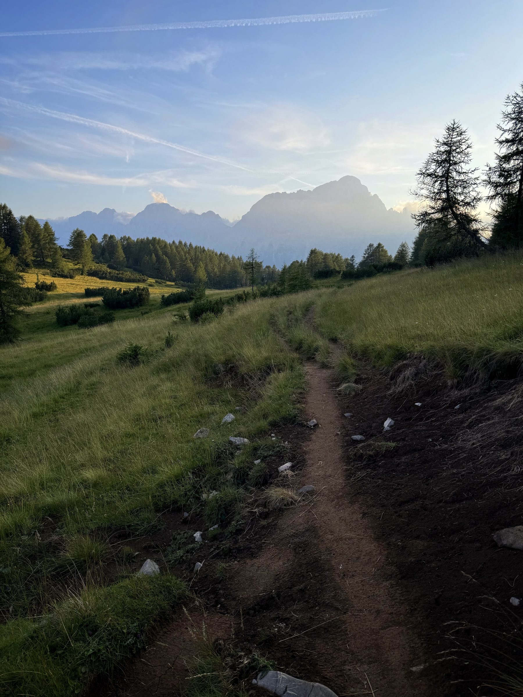 Civetta im Gegenlicht